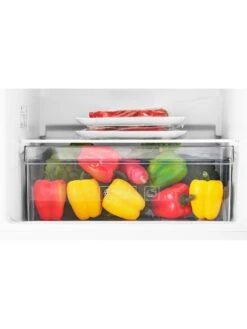 Beko CSG3582B 55cm Wide Fridge Freezer - Black 12 Beko CSG3582B 55cm Wide Fridge Freezer - Black -Appliance Pro QNQ34 SQ5 0000000004 BLACK SLd3