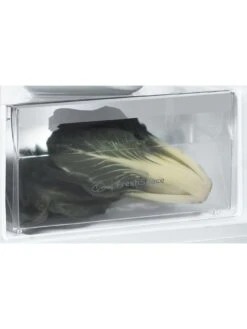 Indesit SI61S1 60cm Width Tall Fridge - Silver -Appliance Pro QUVNA SQ5 0000000035 SILVER SLd3