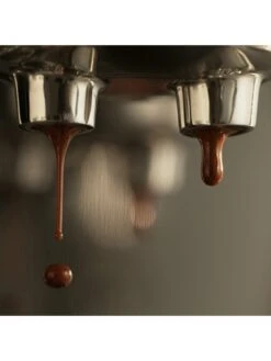 Sage Bambino Plus Espresso Machine - Black Truffle -Appliance Pro RTWAP SQ4 0000000088 NO COLOR SLd2