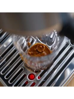 Sage Bambino Plus Espresso Machine - Black Truffle -Appliance Pro RTWAP SQ5 0000000088 NO COLOR SLd3