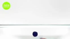 Magimix Juice Expert 3 15 Magimix Juice Expert 3 -Appliance Pro RUUCP SQ8 0000000088 NO COLOR DVvL