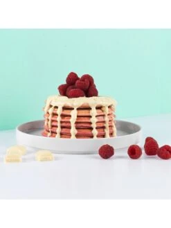 Giles & Posner Mini Snack Maker- Pancakes, Cookies And Ice Cream 13 Giles & Posner Mini Snack Maker- Pancakes, Cookies And Ice Cream -Appliance Pro UQ24E SQ6 0000000005 GREY SLd4