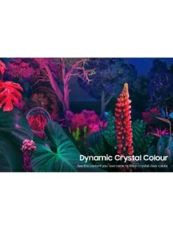 Samsung UE50BU8000KXXU, 50 Inch, Crystal, 4K Ultra HD HDR, Smart TV -Appliance Pro UTW8H SQ5 0000000004 BLACK SLd1