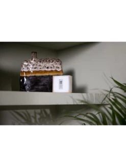 Netatmo Smart Thermostat -Appliance Pro VJG29 SQ5 0000000099 N A SLd3