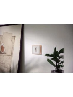 Netatmo Smart Thermostat -Appliance Pro VJG29 SQ6 0000000099 N A SLd4