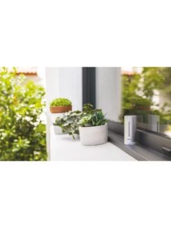 Netatmo Smart Weather Station -Appliance Pro VJG2E SQ6 0000000099 N A SLd4