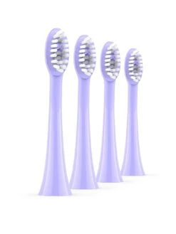 Ordo Sonic+ Brush Heads - Violet - 4 Pack