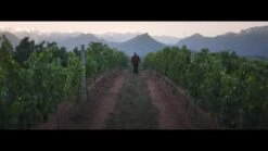 Haier H3F330WEH1 Frost-Free Upright Freezer, E Rated - White -Appliance Pro VLTBH SQ8 0000000013 WHITE DVvL