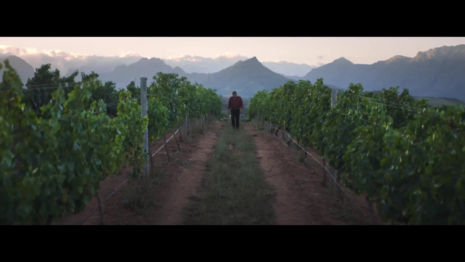 Haier H3F330SEH1 Frost-Free Upright Freezer, E Rated - Stainless Steel 10 Haier H3F330SEH1 Frost-Free Upright Freezer, E Rated - Stainless Steel - Image 8