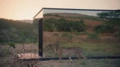 Sennheiser Ambeo Mini Soundbar 17 Sennheiser Ambeo Mini Soundbar -Appliance Pro VOURL SQ8 0000000004 BLACK DVvL