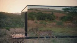 Sennheiser Ambeo Plus Sub -Appliance Pro VOVP3 SQ8 0000000004 BLACK DVvL